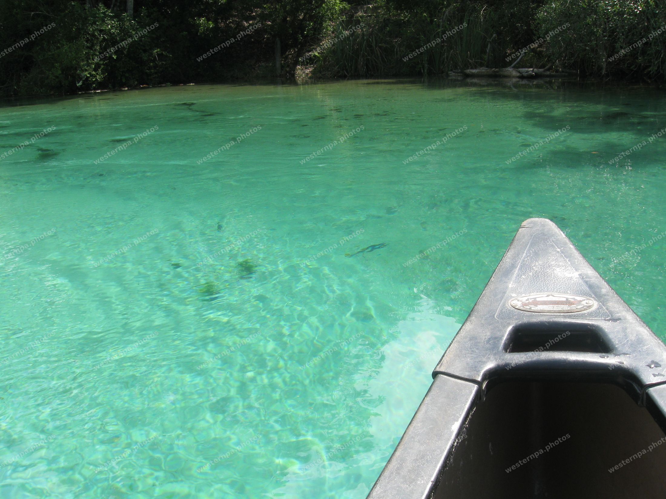 Black canoe bow gliding over transparent turquoise spring water