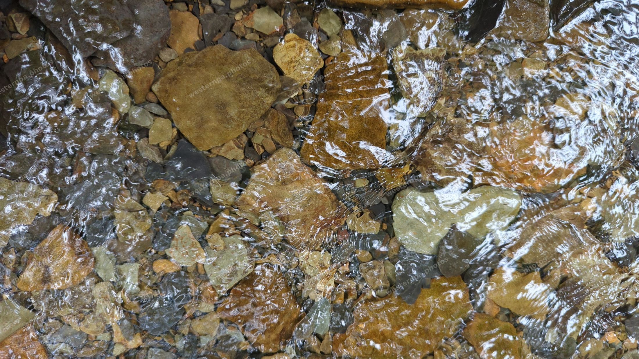 Clear stream water flowing over colorful smooth rocks