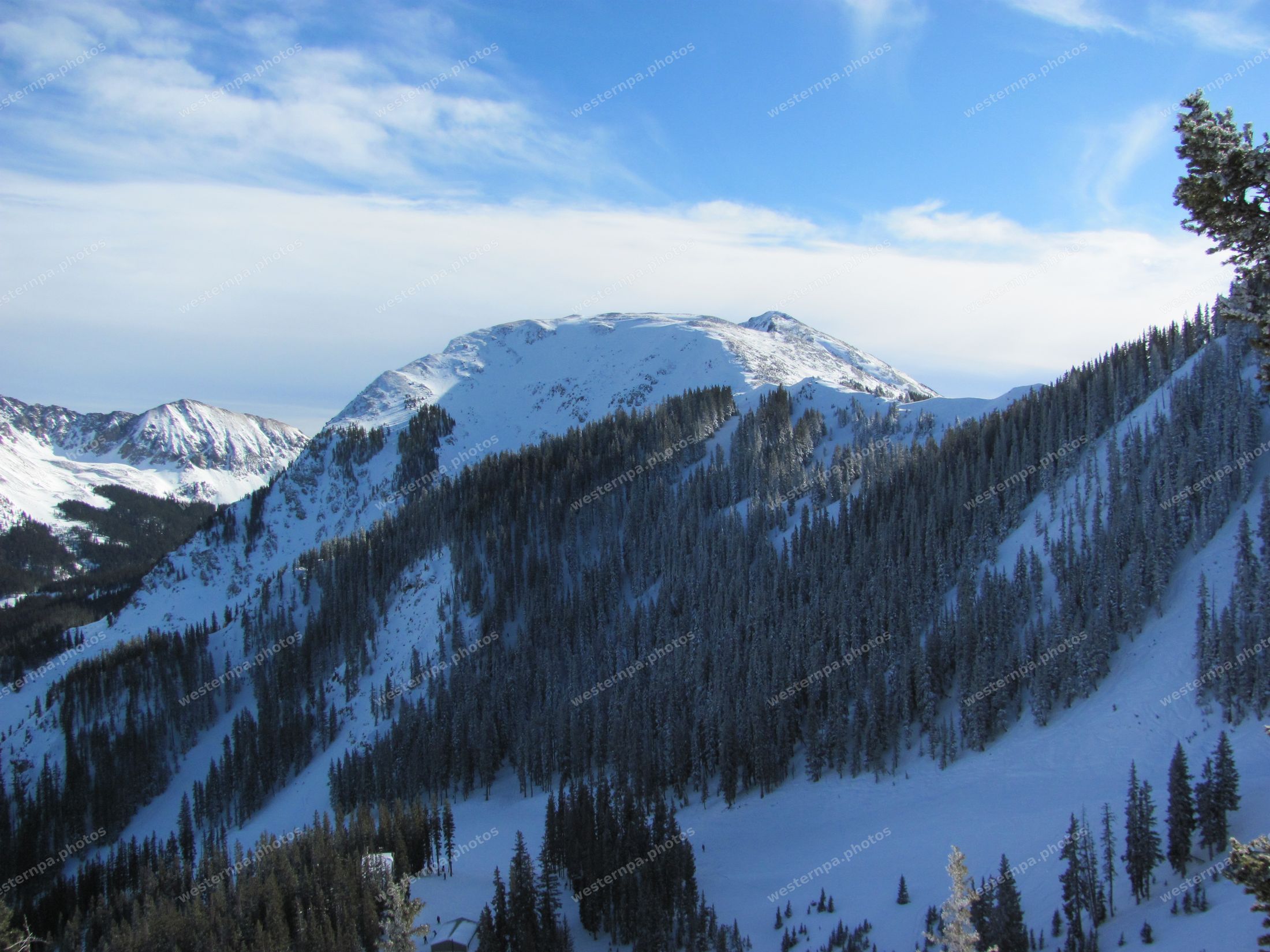 Snow-covered alpine bowl with dense spruce forest below a rounded white summit