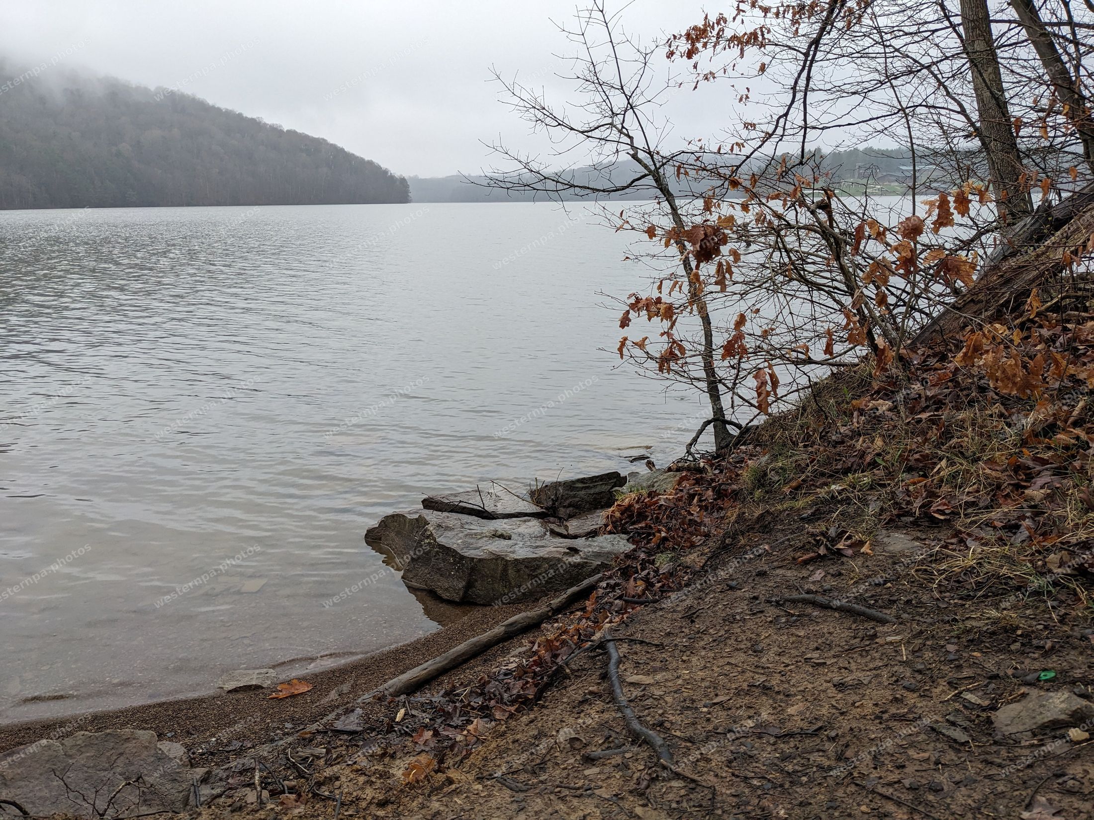 Misty lake shoreline on an overcast morning