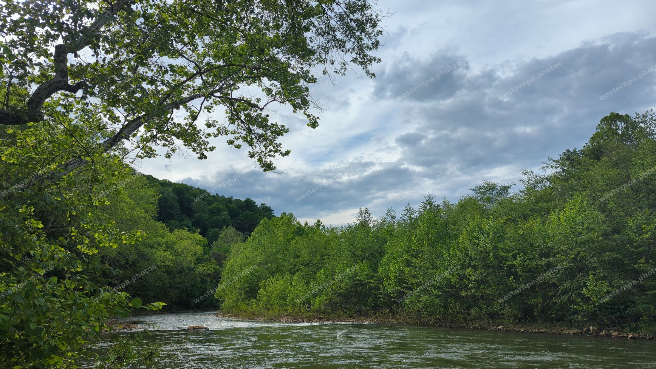 River with forested banks and a cloudy sky