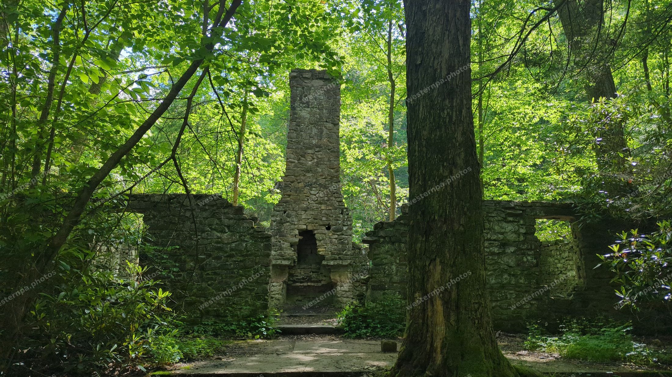 Stone chimney and wall ruins of an old homestead in green summer forest