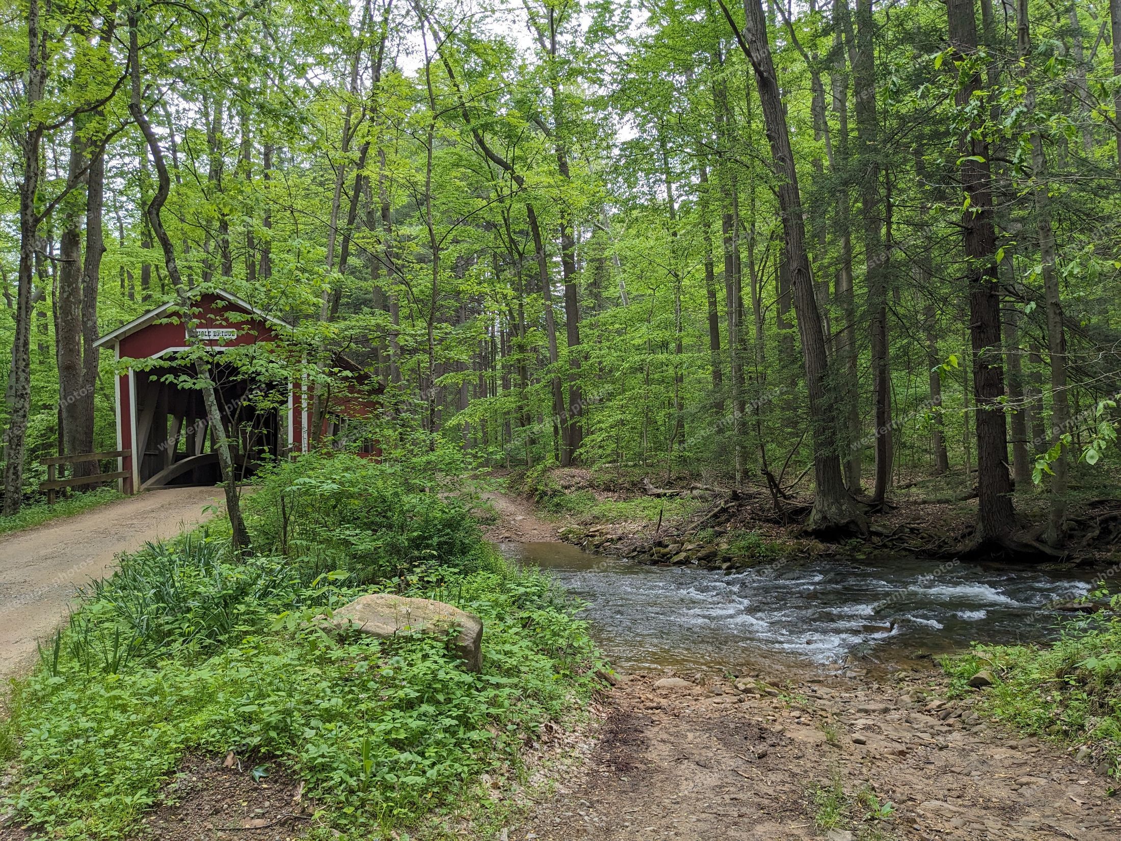 Red covered bridge beside a forest stream