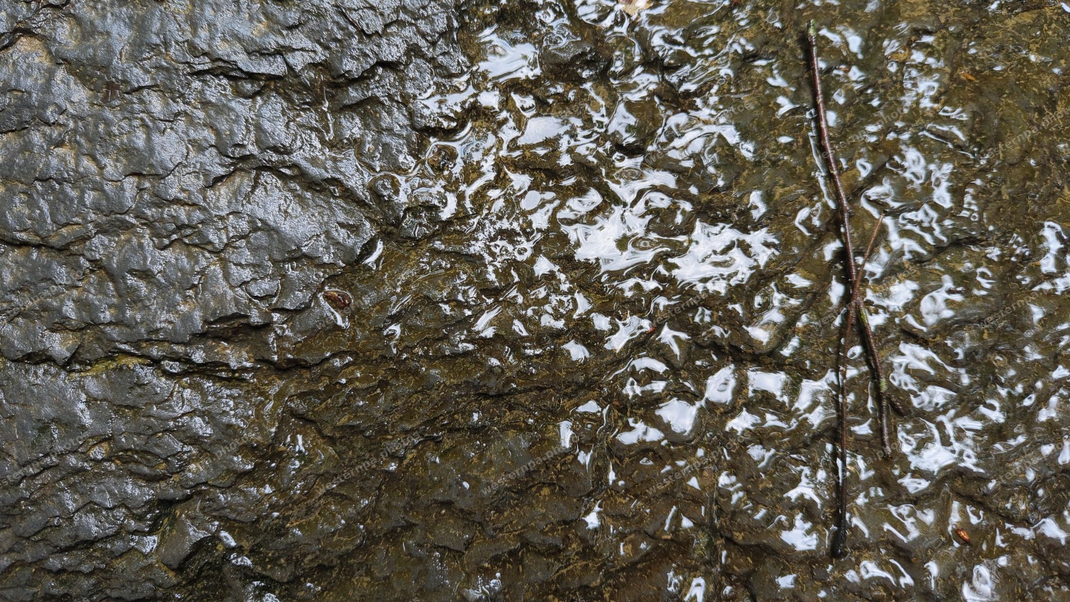 Close-up of water flowing over rock